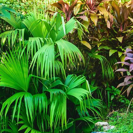 Pousada Jardim Das Bromelias Porto Seguro Zewnętrze zdjęcie